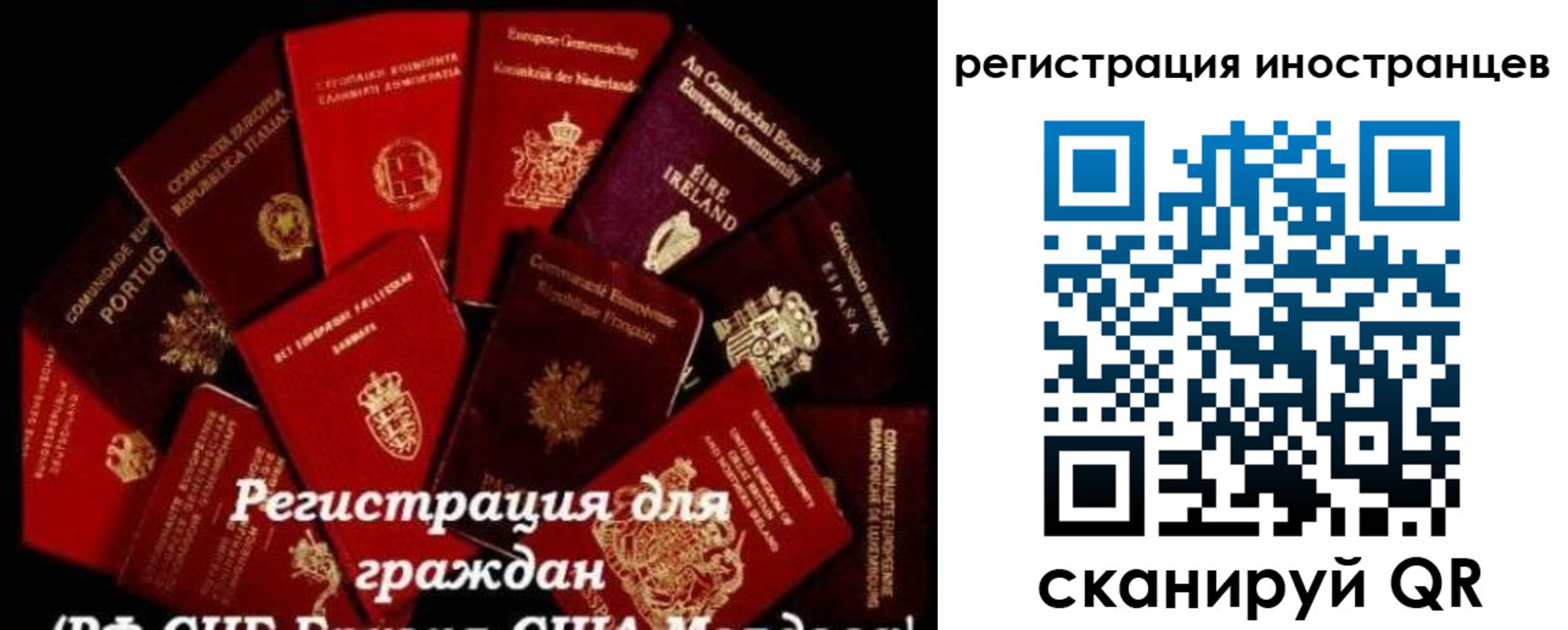 прописка иностранных граждан в Чкаловске